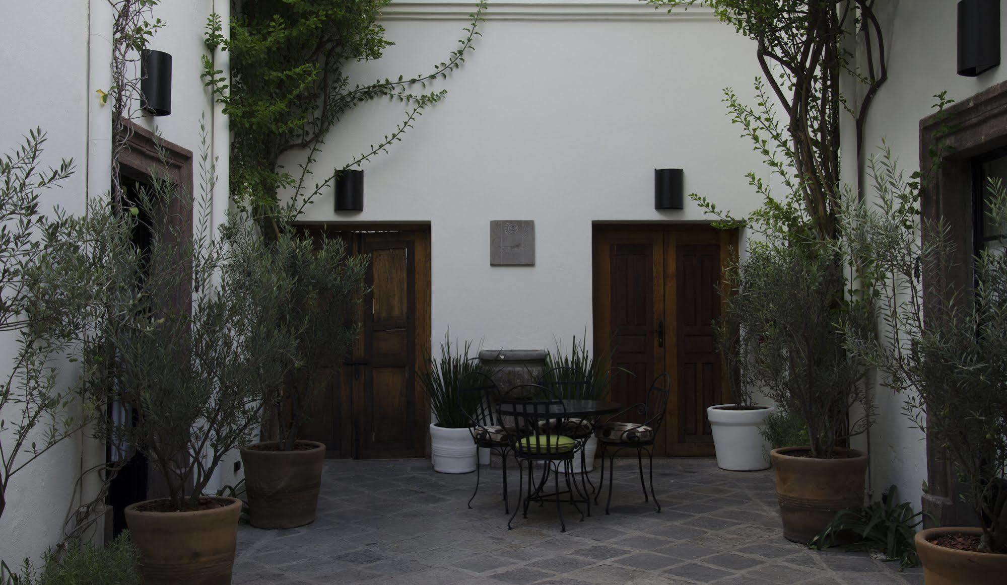 Casa De Los Olivos サン・ミゲル・デ・アジェンデ エクステリア 写真