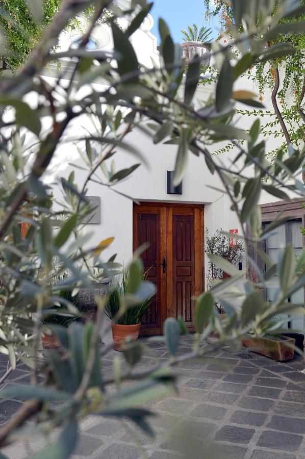 Casa De Los Olivos サン・ミゲル・デ・アジェンデ エクステリア 写真